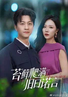 33.苔藓爬满旧日诺言（83集）王鹏＆钟莹玲