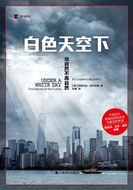 【解读】《白色天空下》